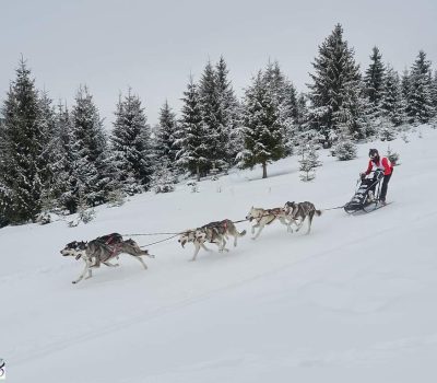 FB_IMG_1643609485481